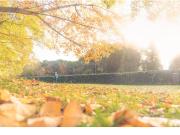 Piso en venta en Burgos, Santa Teresa San Pedro Cardeña....