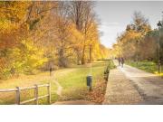 Piso en venta en Burgos, Santa Teresa San Pedro Cardeña....