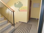 Piso en venta en Cáceres, Montesol Mejostilla. EXCELENTE... Piso en venta en Cáceres, Montesol Mejostilla. EXCELENTE...