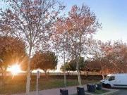 Piso en venta en Calle Del Rio, Torrejón de Ardoz