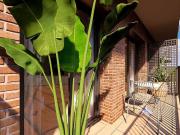 Piso en venta en calle Pau Piferrer, Badalona, de 49 m²...