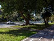 Piso en Venta en Carranque Haza Cuevas