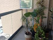 Piso en Venta en Valdepasillas La Paz Huerta Rosales