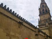 Piso en Venta en Casco Histórico Ribera San Basilio
