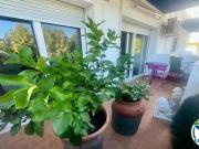 Piso en Venta en Castelló d'Empúries