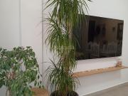 Piso en venta en Chipiona, Playa de la Regla. Piso en...