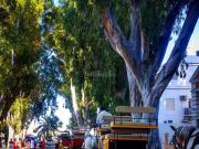 Piso en venta en Chipiona, Playa de la Regla. VC1153. Se...