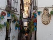 Piso en Venta en Ciudad Jardín Zoco