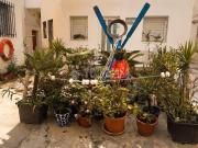 Piso en Venta en Conil