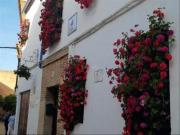 Piso en venta en Córdoba, Casco Histórico Ribera San...