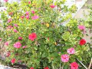 Piso en Venta en Cunidor