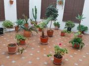 Piso en venta en El Puerto de Santa María, CENTRO