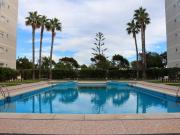 Piso en Venta en Elche Elx