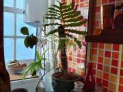 Piso en venta en Ferrol, A Coruña Rías Altas