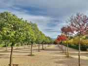 Piso en Venta en Granada