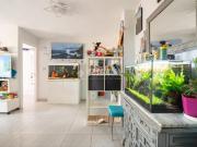 Piso en venta en Granada, Barrio de Zaidín. Piso en...
