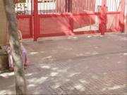 Piso en venta en Hospitalet de Llobregat L´, La Florida....