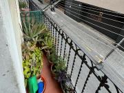 Piso en venta en Hospitalet de Llobregat L´, La...