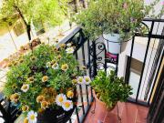 Piso en Venta en Hostafrancs