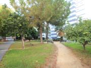 Piso en Venta en Isla Chica