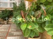 Piso en Venta en Jaén