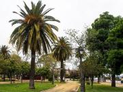 Piso en venta en Jerez de la Frontera