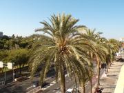 Piso en Venta en Les Tendetes Avenida Burjassot