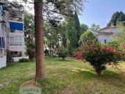 Piso en Venta en Limonar