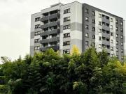 Piso en venta en Llodio. Pisos.