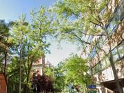 Piso en venta en Madrid, Argüelles. Piso en venta,...