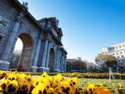 Piso en venta en Madrid, Castellana. Calle Castelló:...