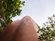 Piso en venta en Madrid, Castellana. Pisos.