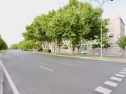 Piso en venta en Madrid, El Viso. Pisos.