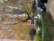 Piso en venta en Madrid, Lucero. EXCELENTE PISO EN ZONA...