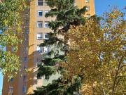 Piso en venta en Madrid, Simancas. Espectacular piso en...