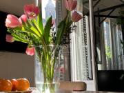 Piso en venta en Madrid, Universidad Malasaña. PISO EN...