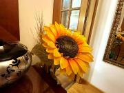 Piso en Venta en Málaga