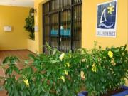 Piso en venta en Marbella, Nueva Alcántara. San Pedro de...