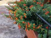 Piso en Venta en Mas Mel