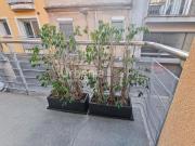 Piso en venta en Mataró, Centre. Piso en centro Plaza...