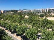 Piso en venta en Mataró, La Llàntia. Ático Dúplex...