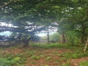 Piso en venta en Oviedo, San Claudio Trubia Las Caldas