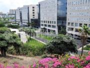 Piso en venta en Palmas de Gran Canaria Las, La Feria....