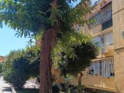 Piso en Venta en Pino Montano Consolación
