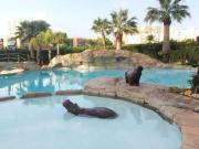 Piso en Venta en Playa Muchavista