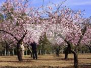 Piso en Venta en Salvador