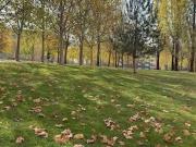 Piso en Venta en San Adrián