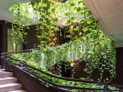 Piso en Venta en San Juan Bautista