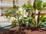 Piso en venta en San Miguel de Abona, Golf del Sur...