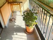 Piso en Venta en San Vicente del Raspeig Sant Vicent del...